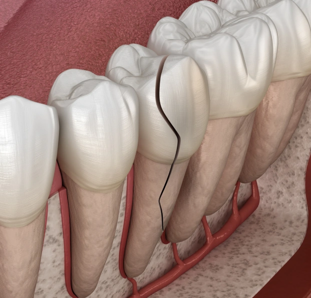 Foundation of a Healthy Smile Starts Here